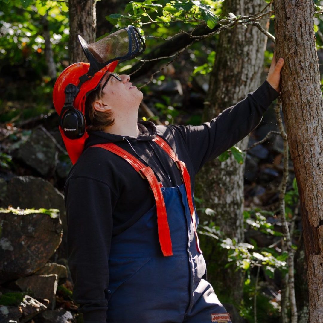 Handy VF Trefelling-2